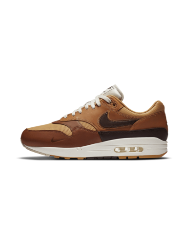 Air Max 1 SNKRS Day Brown une grave pollution 