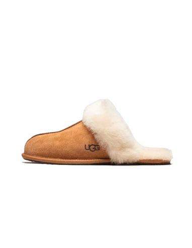 Scuffette II Slipper Chestnut la colonne vertébrale