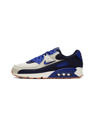 Air Max 90 Home & Away Blue Les magasins à Paris et en Île-de-France